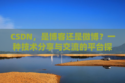 CSDN，是博客还是微博？一种技术分享与交流的平台探讨